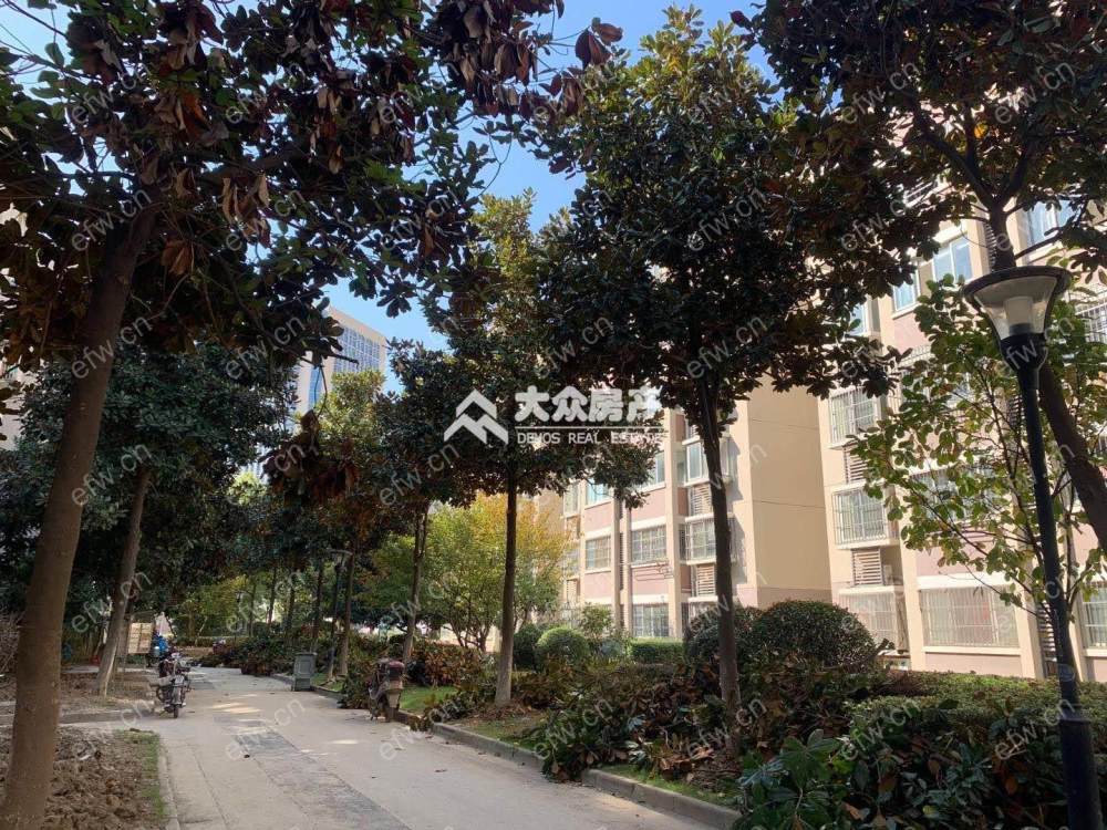 丰涵家园 1室1厅