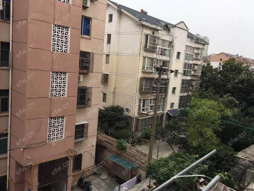 荷叶新村 1室1厅......