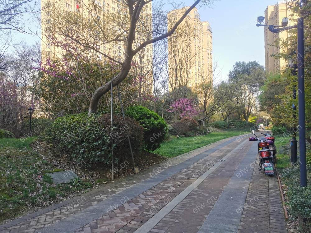 盛世家园精装两房 拎包入住交通方便