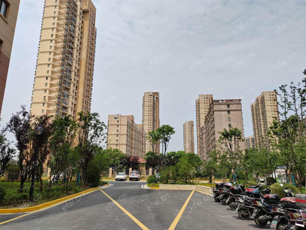 扬名花园六期（金扬怡庭）精装3室  随时看房 拎包入住
