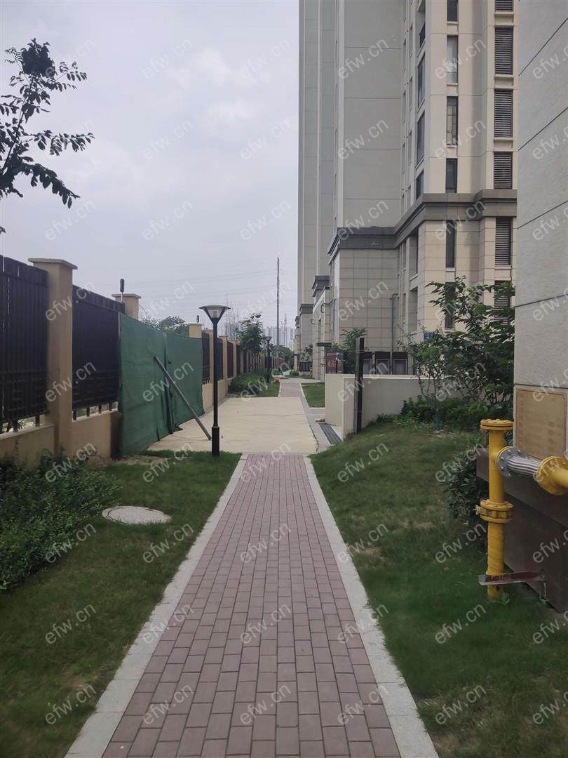 房东诚心出租  随时看房