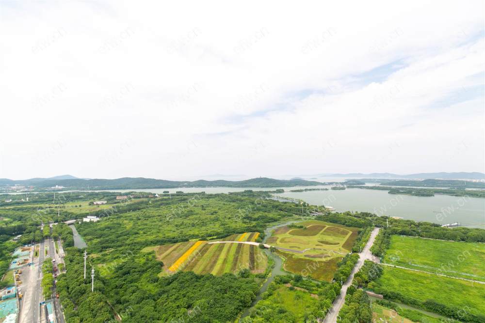 蠡湖香樟园 顶复 毛坯 一线湖景房