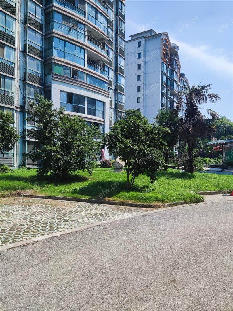 新洲花园自住精装洋房