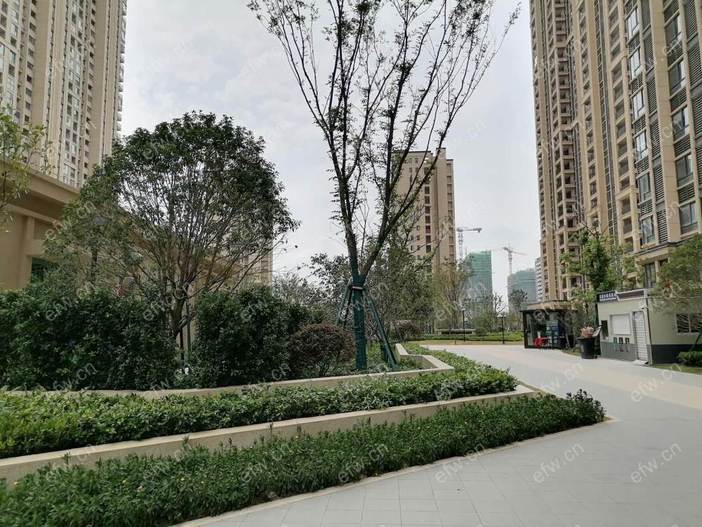 梁溪本源全新精装2房出租