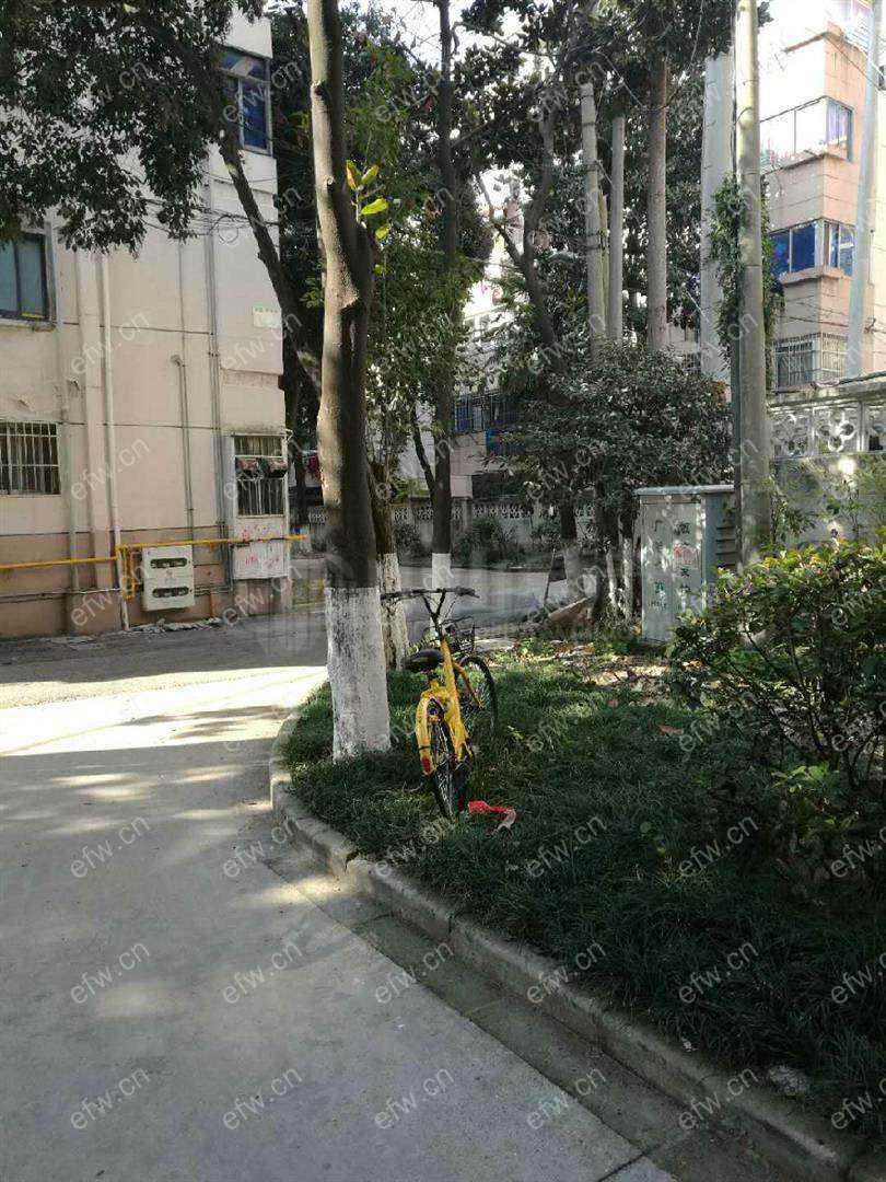 广电旁，自住精装大两房，带停车位，拎包入