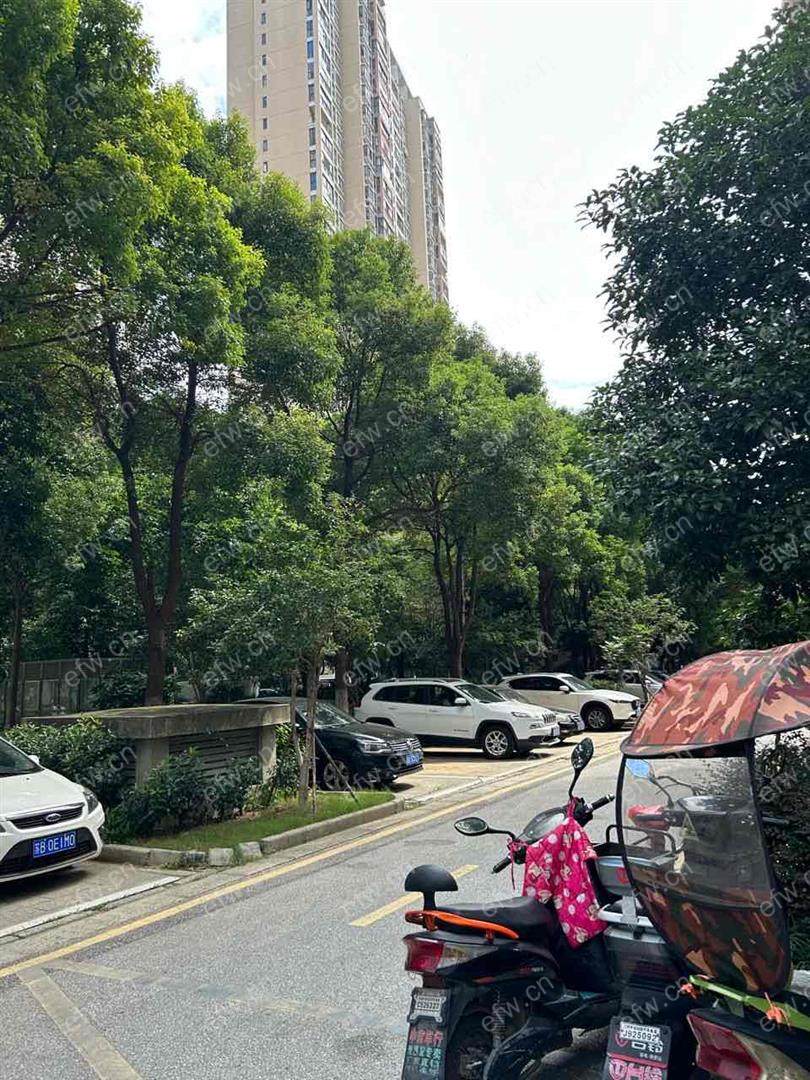 中南家园A区 2室1厅