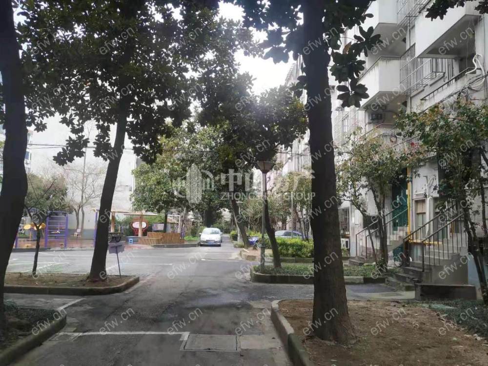 连元街，铸冶巷小户型清爽装修   可用