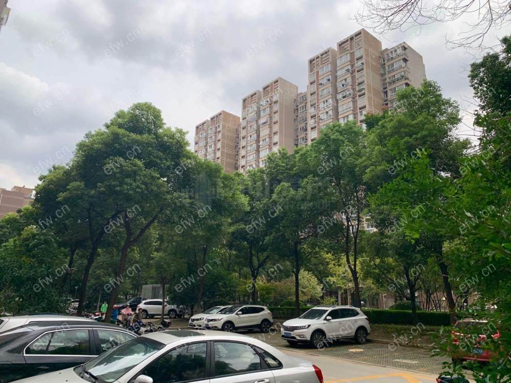 梨花家园 精装朝南两房