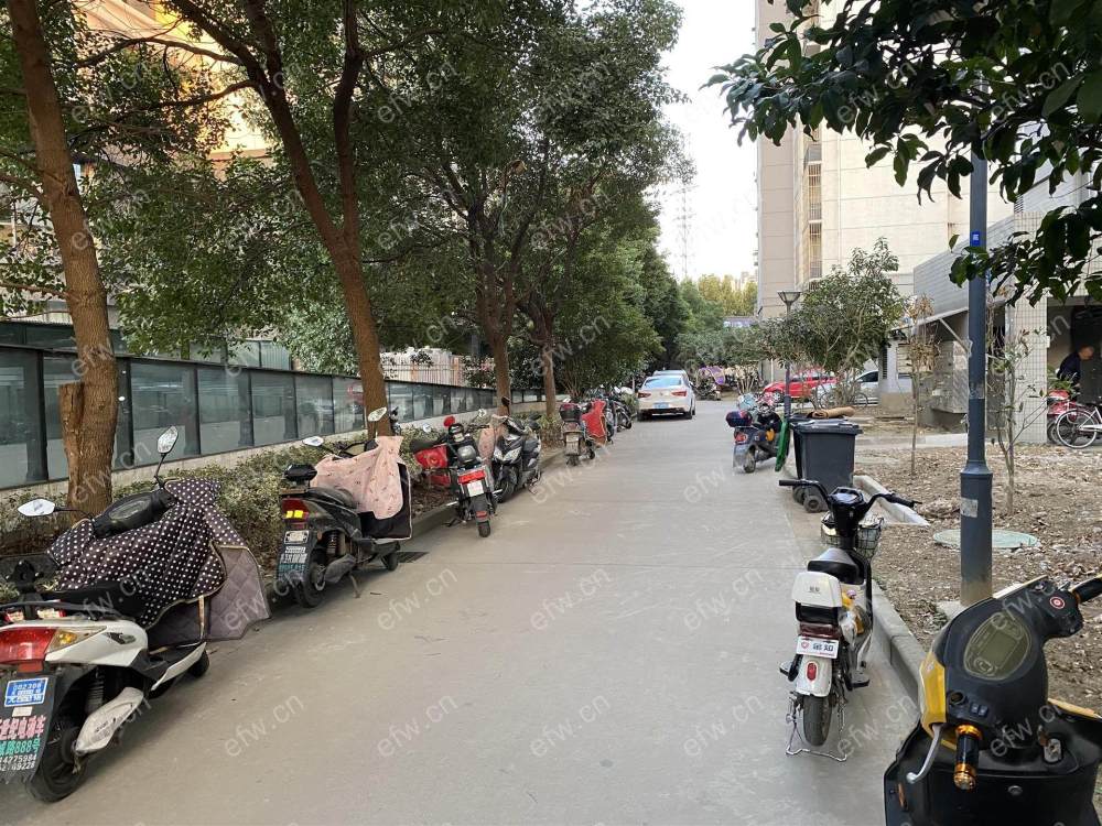 新乐苑小区 2室2厅