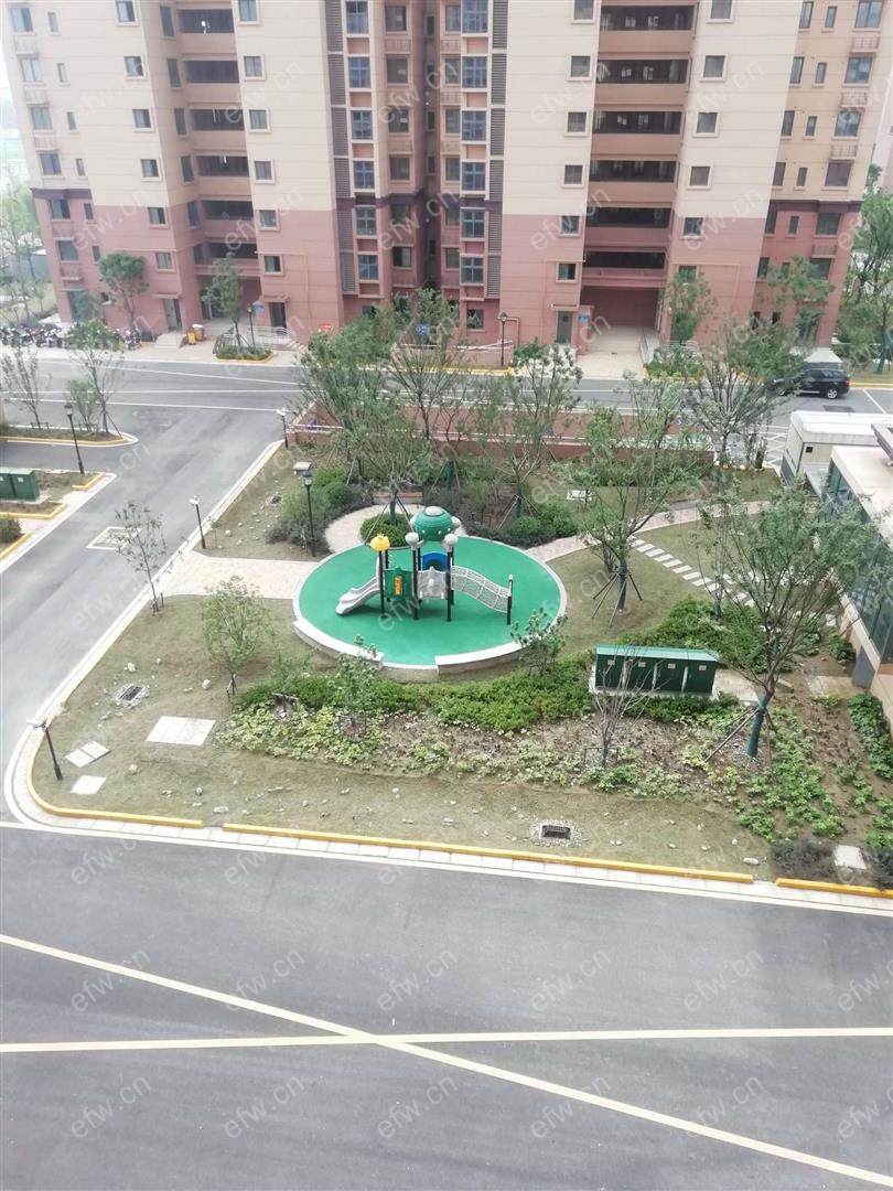 金扬怡庭