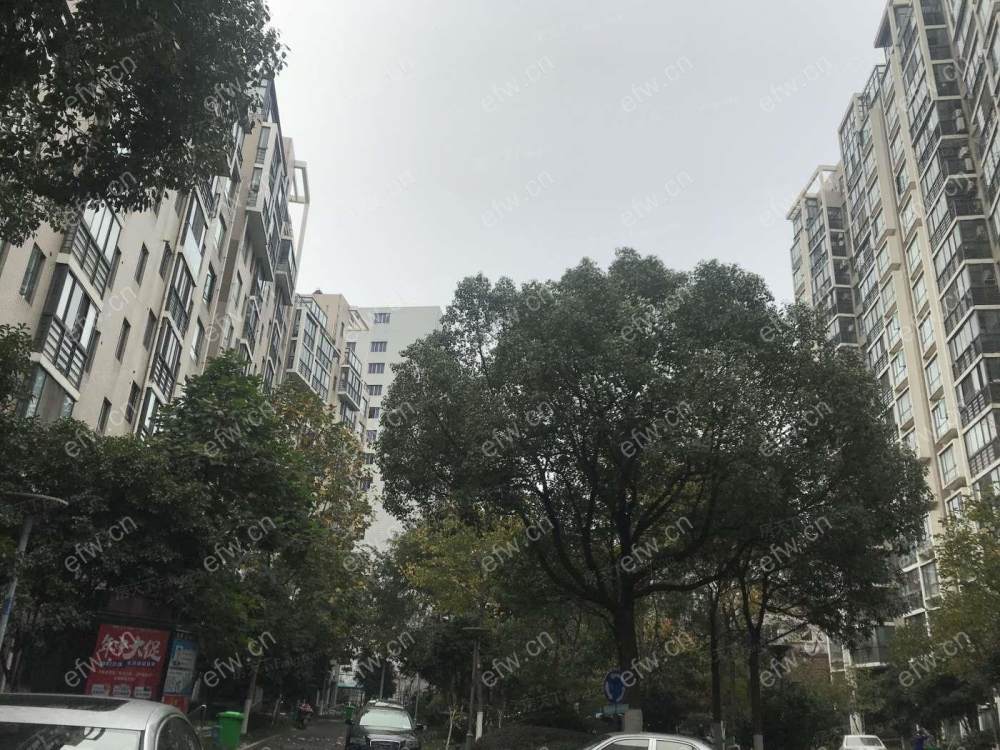 中大颐和湾（颐和湾公寓） 3室1厅 打第二个提前预约看房