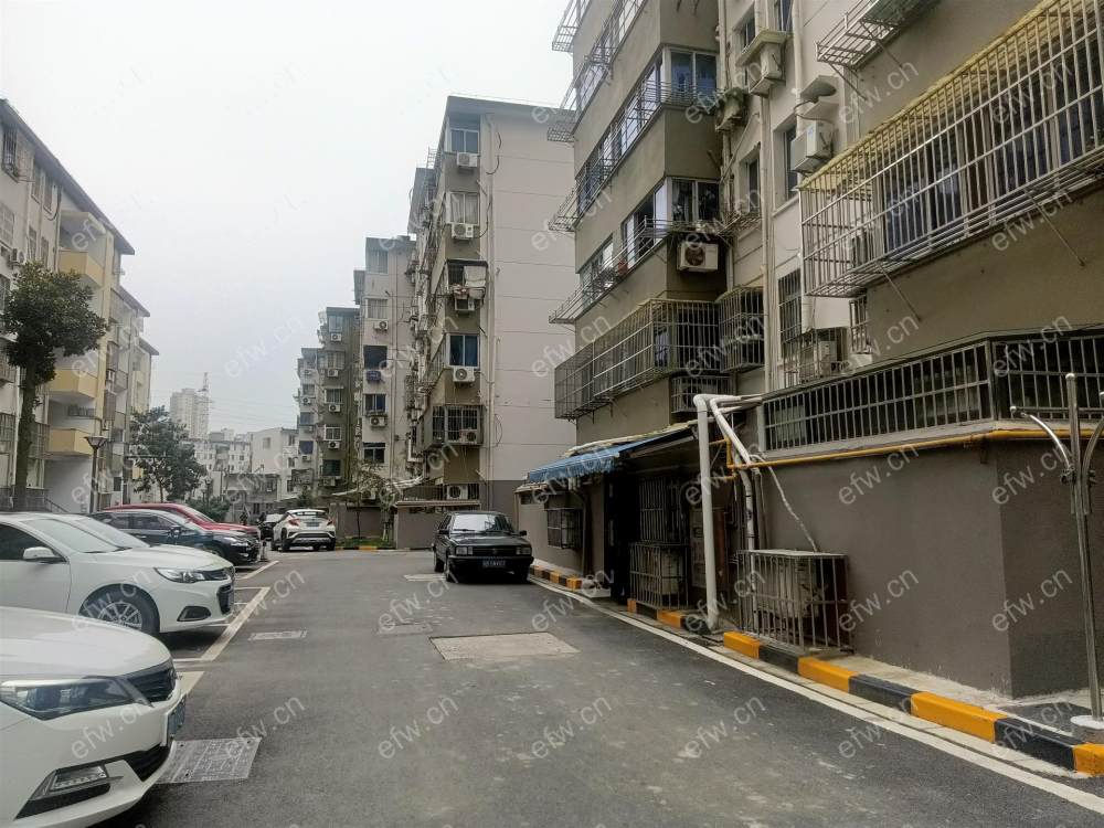 新苏新村 1室1厅新装修，现在出租中，诚