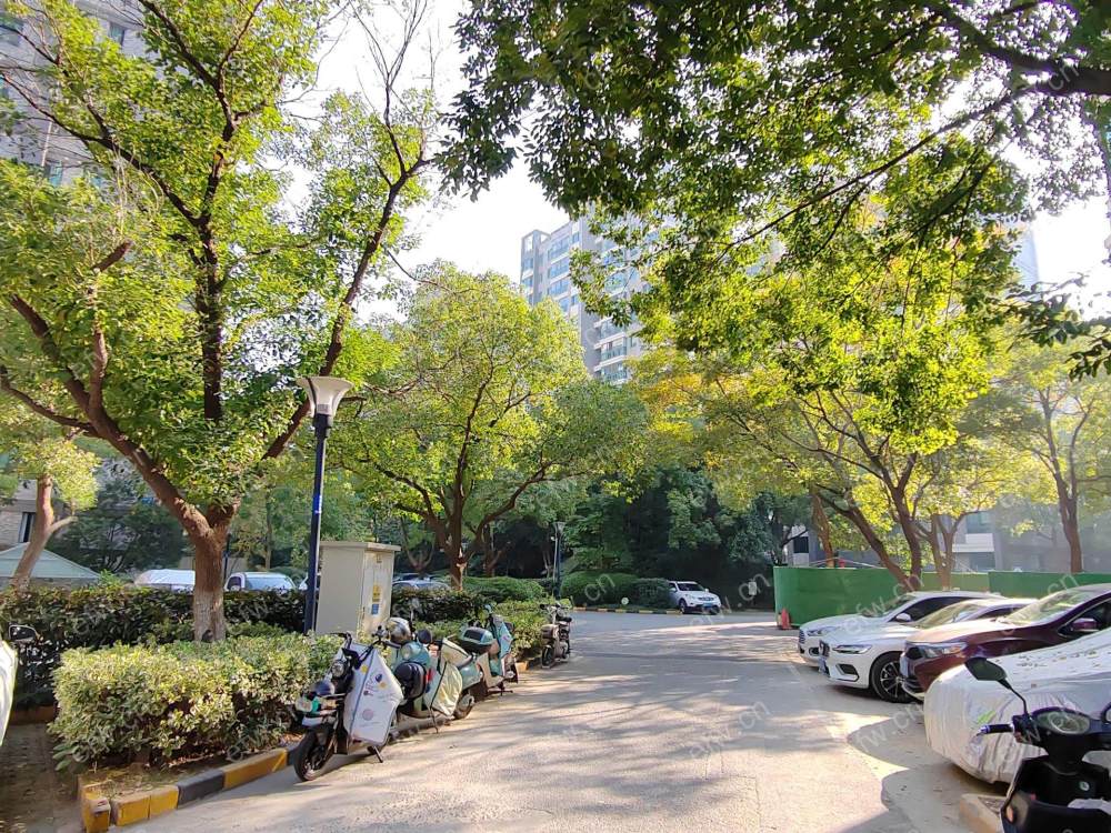 阳光城市花园C区 1室1厅
