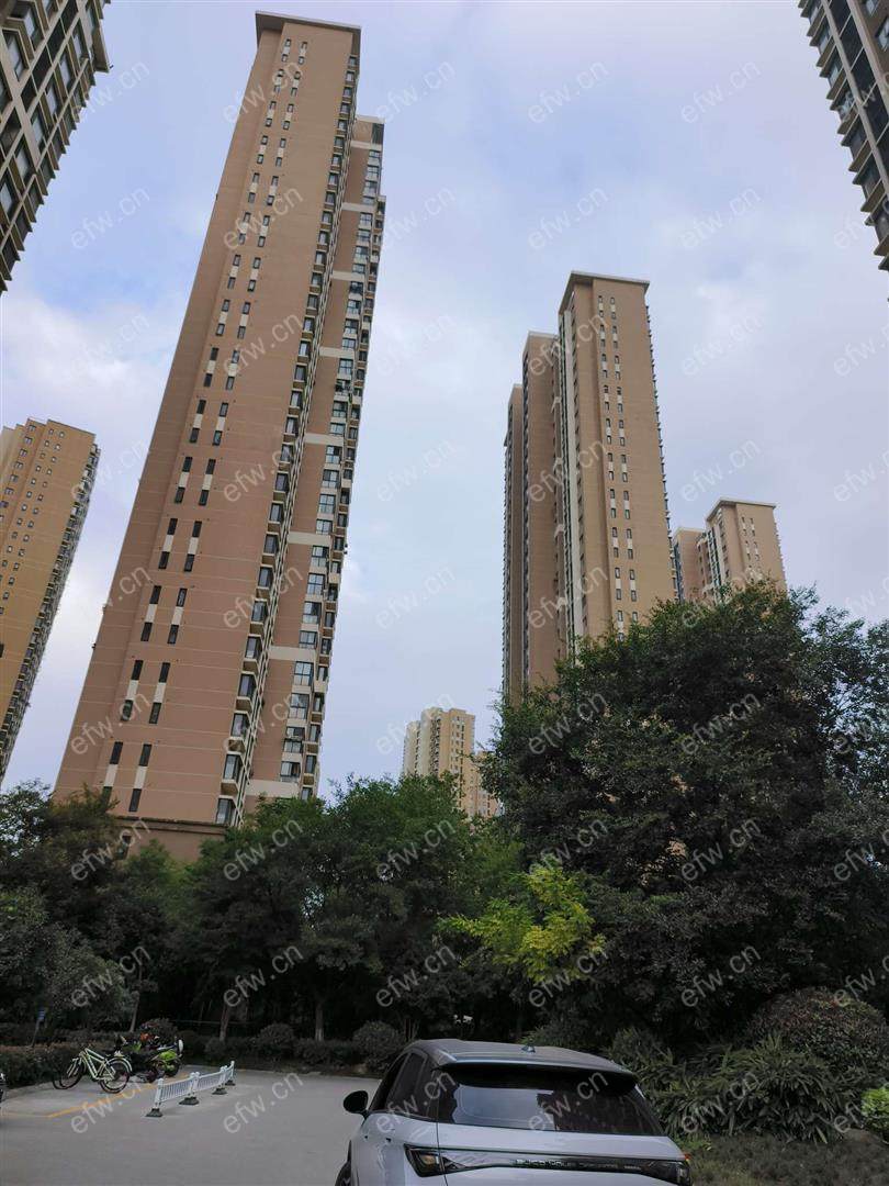 自住精装 售房里有照片