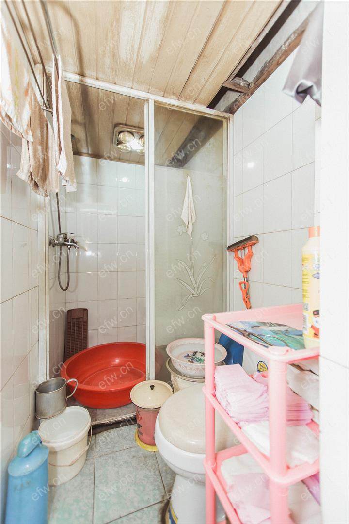 新出的
