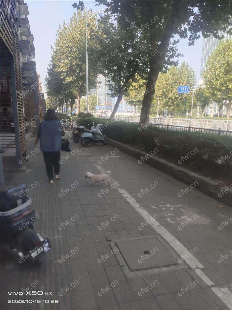 此房东帮中介做飞单，私单，有个别同事有经验