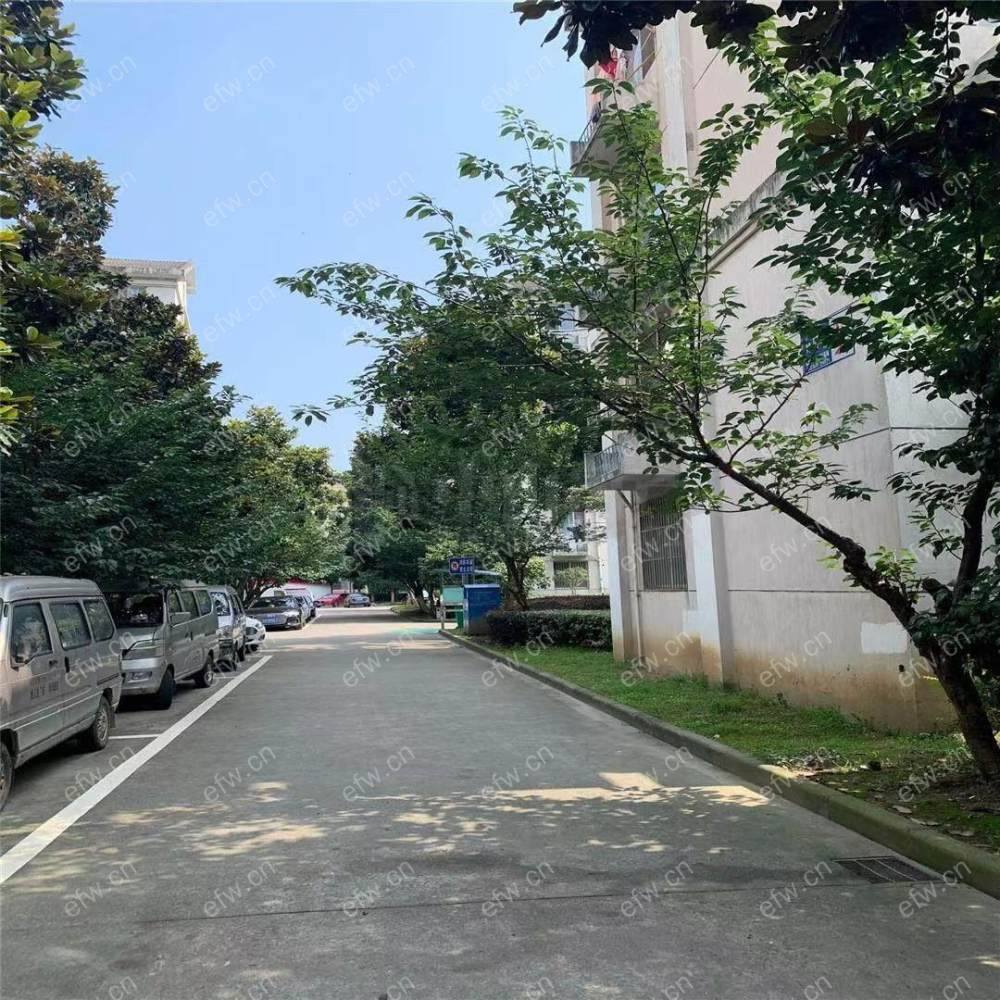 林陆苑 3室2厅 新装修