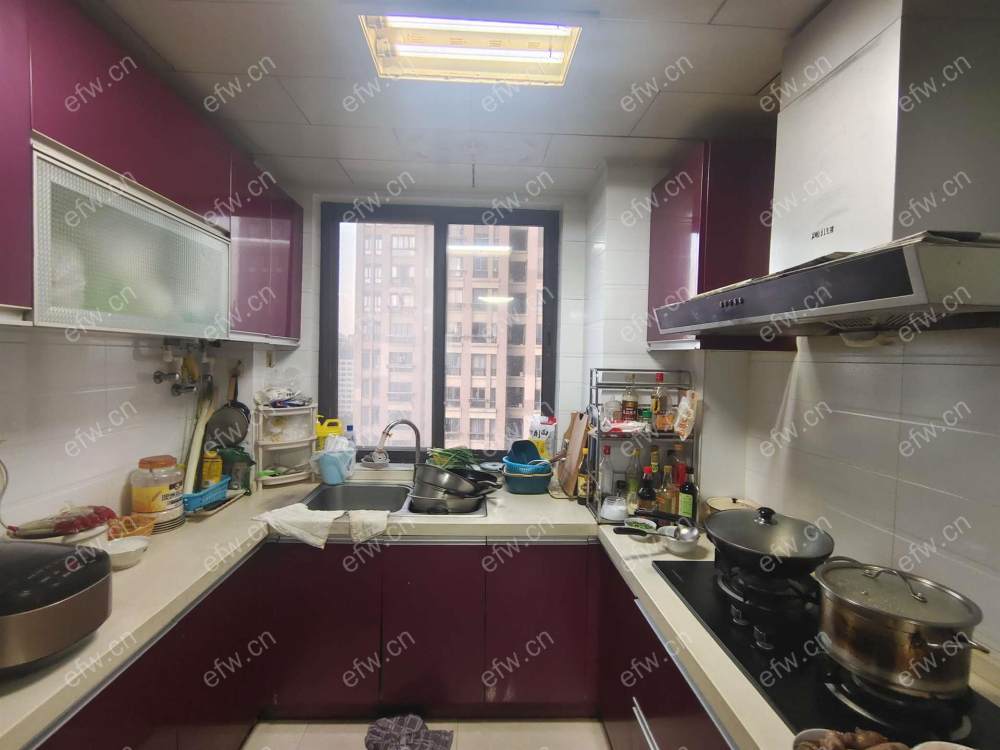 精装修 盛世家园 中间楼层