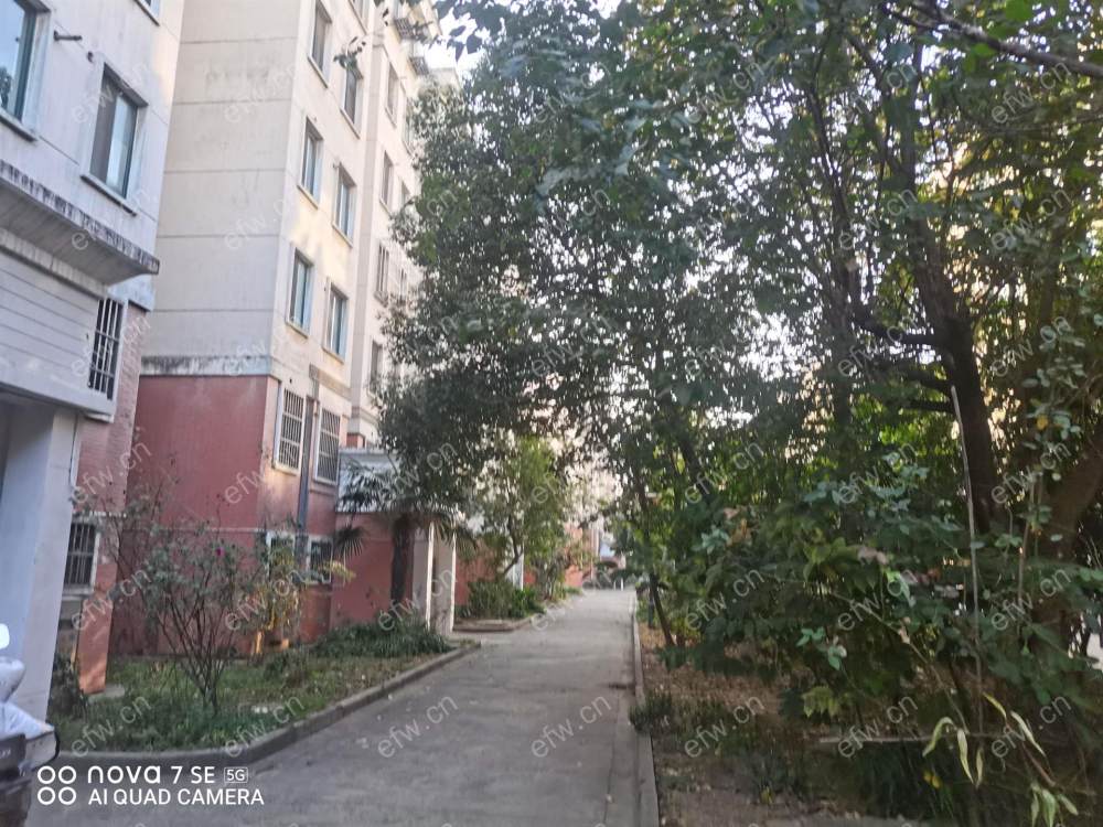 五星家园 2室1厅 拎包入住