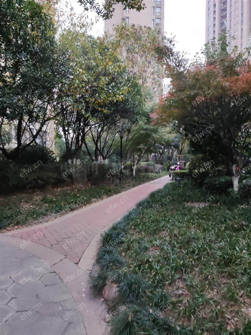 village 经典room房 东边户 全明 精装修！