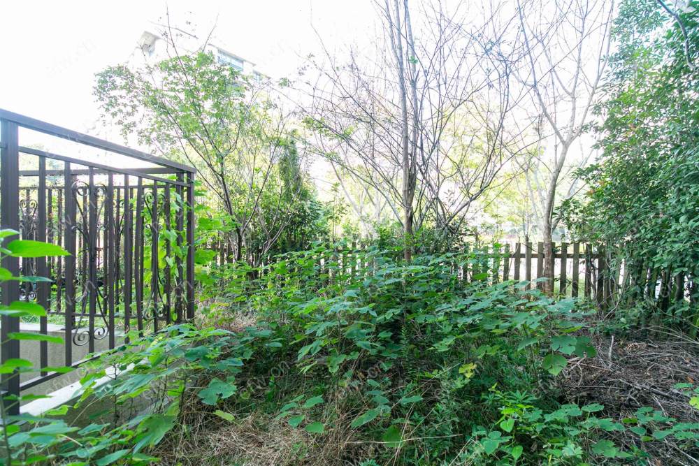 太湖锦园联排别墅，东边套带后花园50平，有顶，房型方正