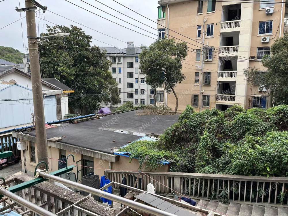 青松新村   2室1厅