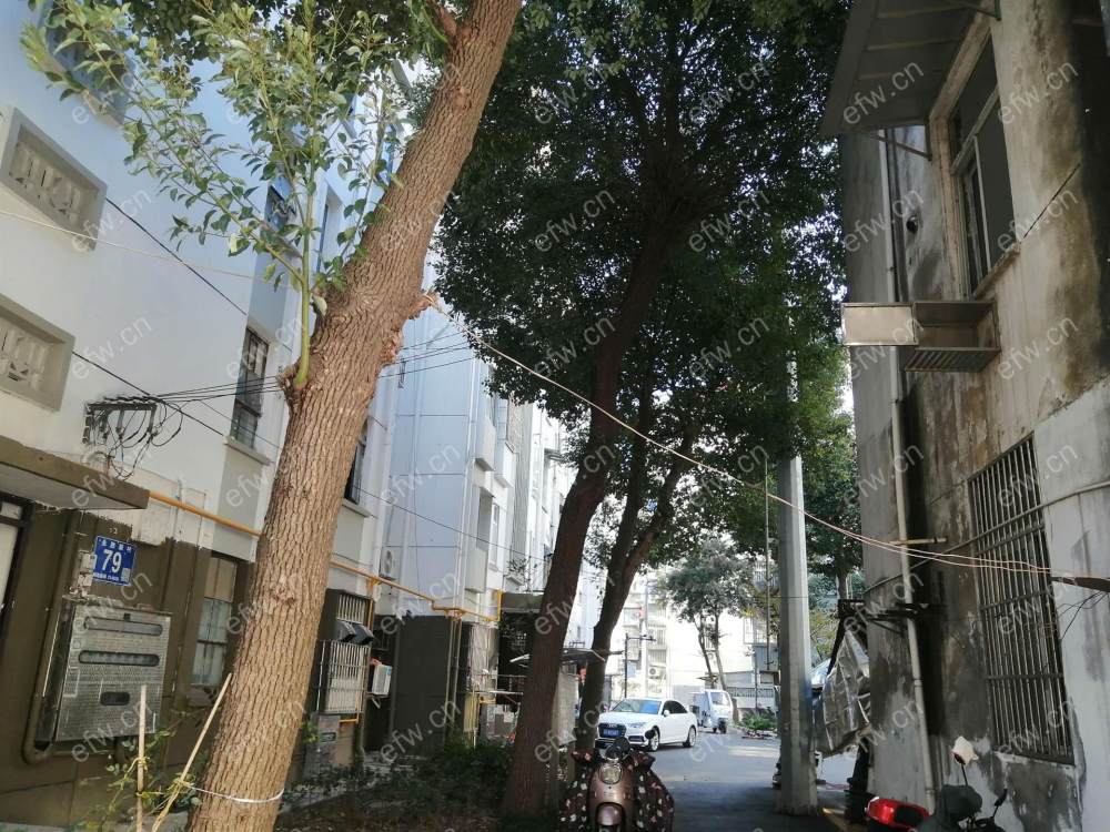 永胜新村 老式精装单间