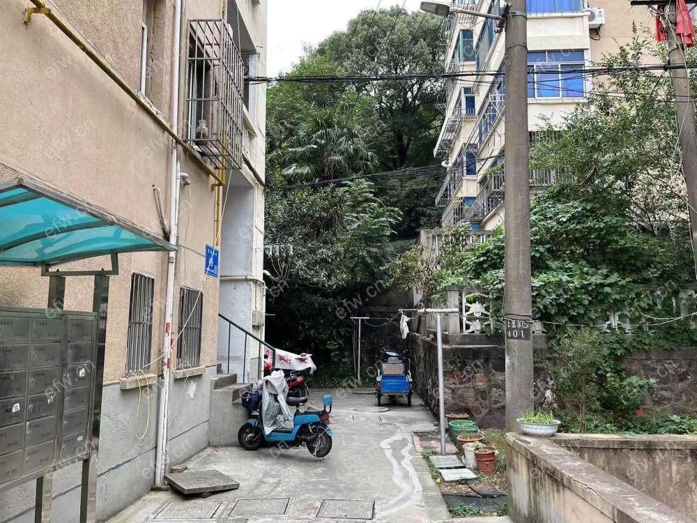 青松新村   2室1厅