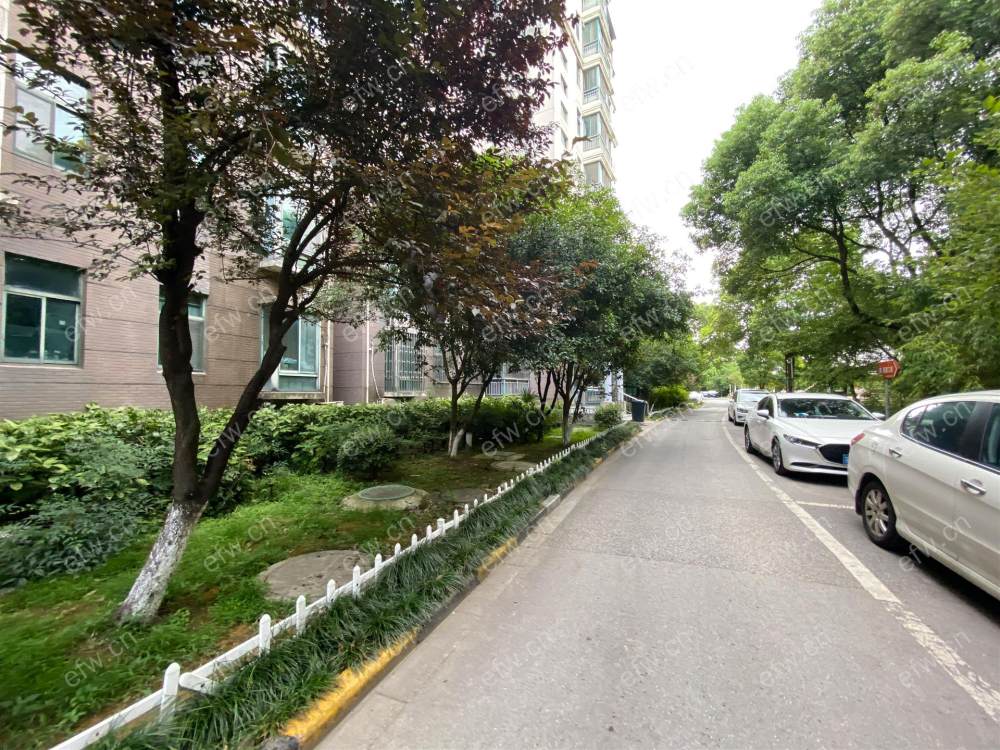 南北通透 拎包住 看房随时