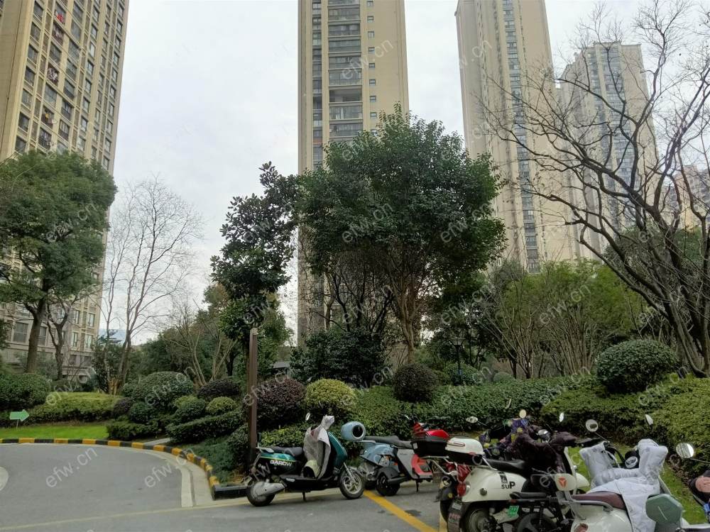 金科世界城C区位置好，环境优雅，126.74平米精装3房