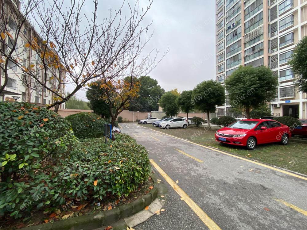 东顾巷 家园    中间楼层    厅朝南带阳台1