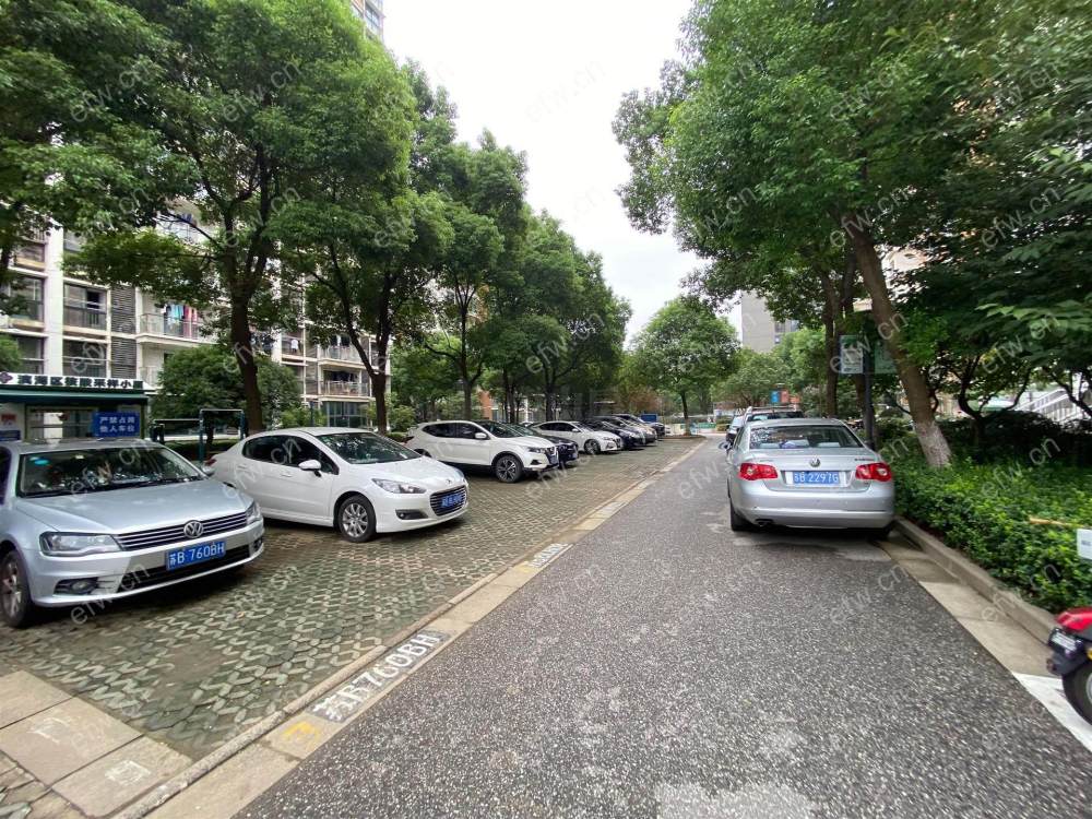 鸿桥苑     全新装修3室2厅
