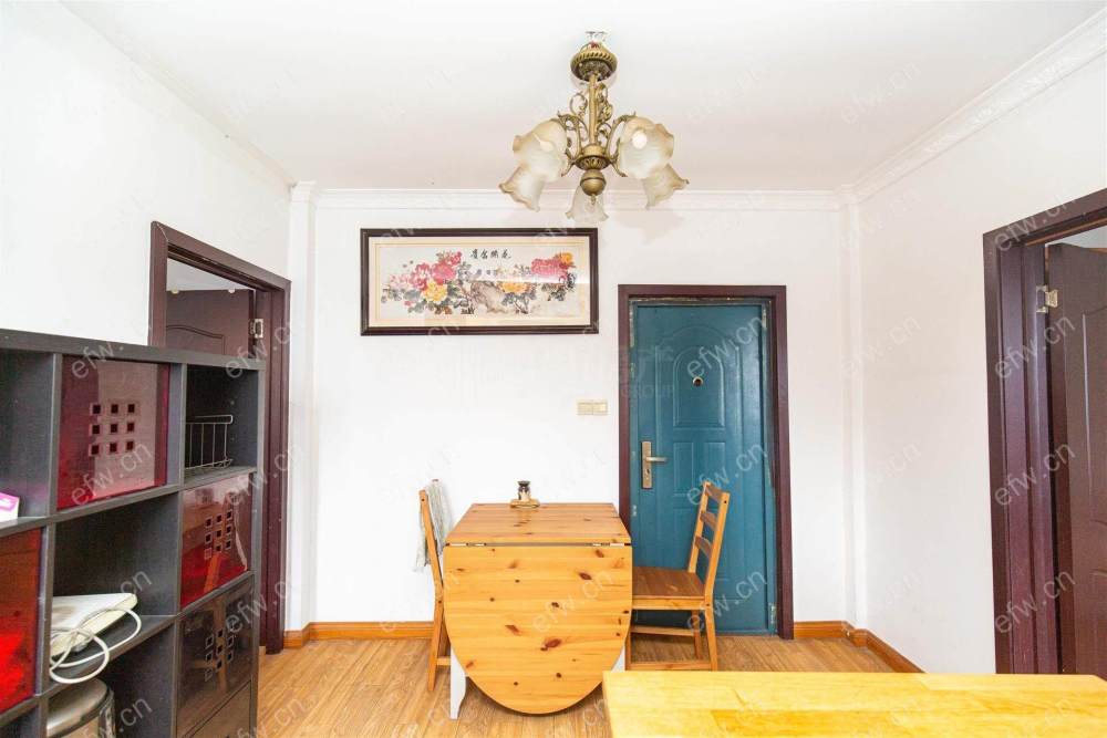village room房 全明户型 另送家电12