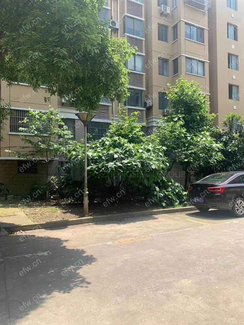 东风家园 1室1厅，出租中，不好拍照