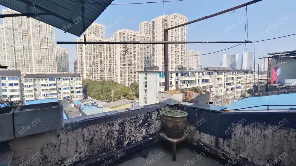两室两厅  随时看房  诚心出租