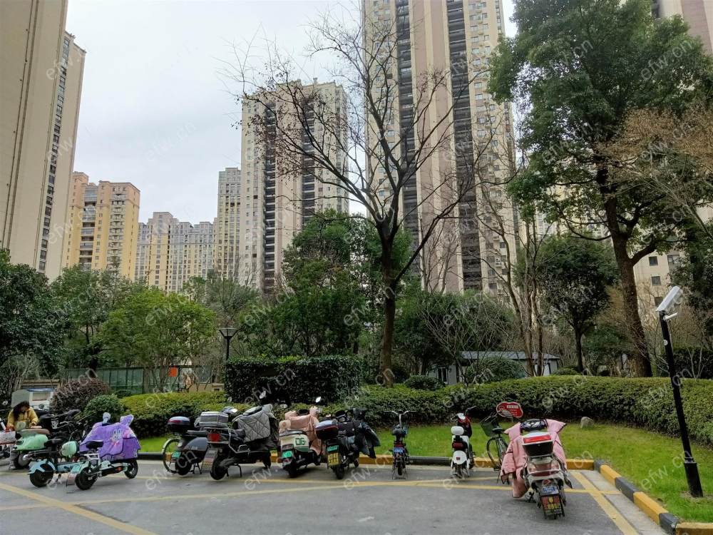 金科世界城C区 精装小户型,总价低,