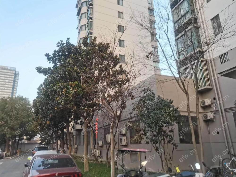 五星家园精装两室...