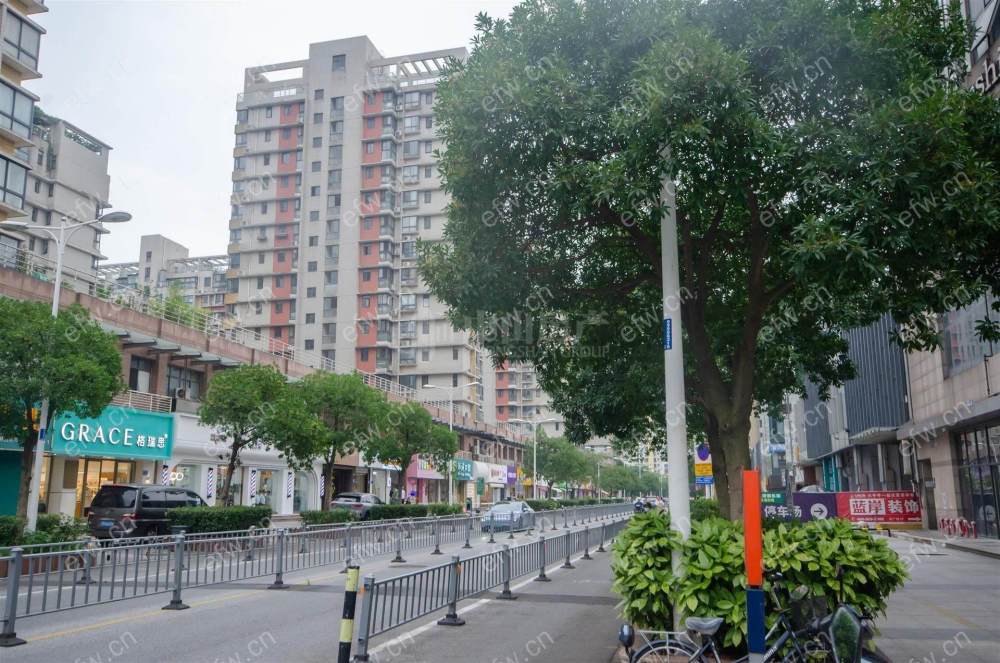 阳光城市花园C区 锡师附小 小江南 1室1厅