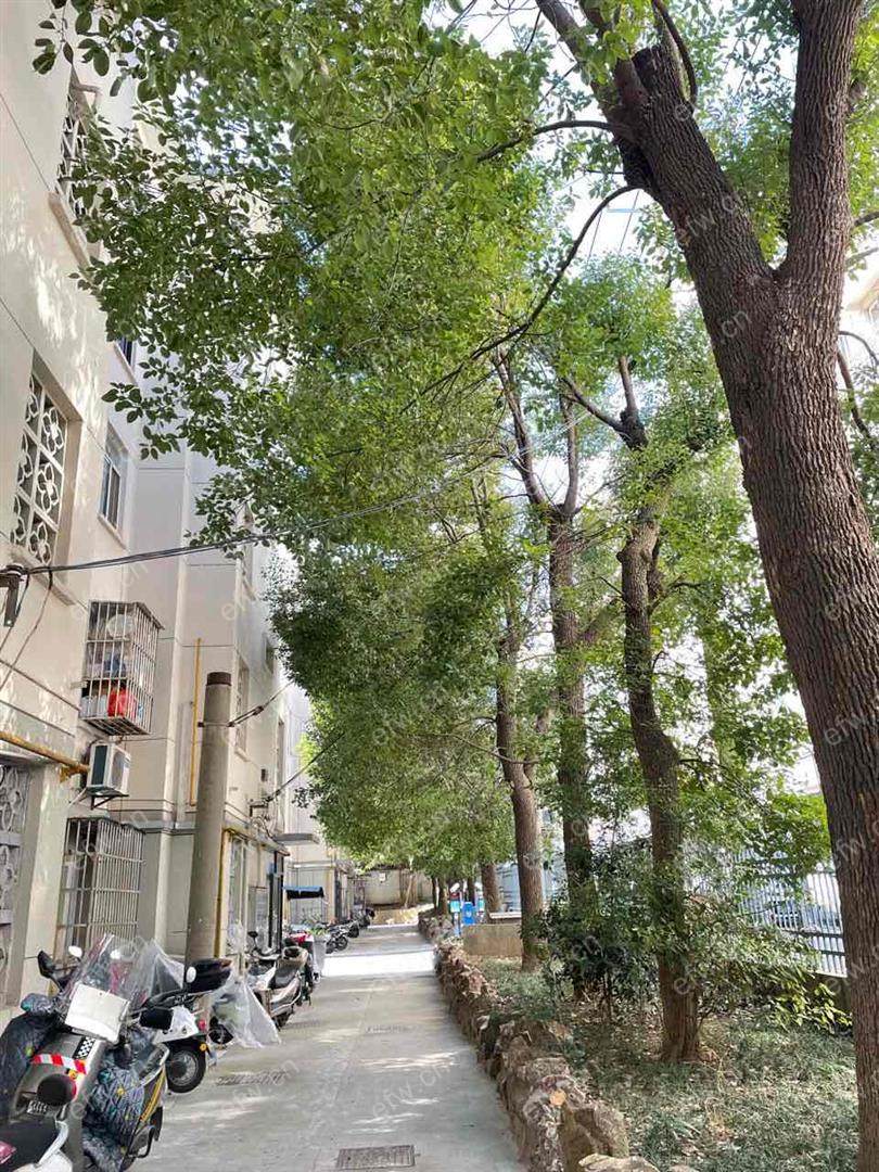 团结一村   2室1厅