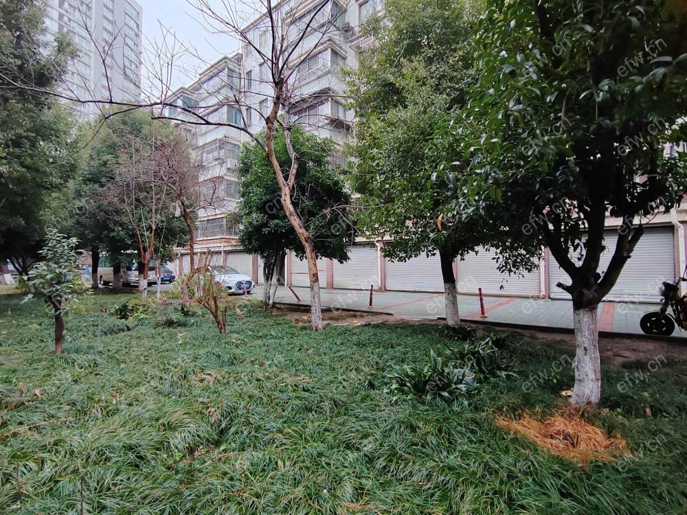 红星苑三期(建筑东路)两室两厅出租