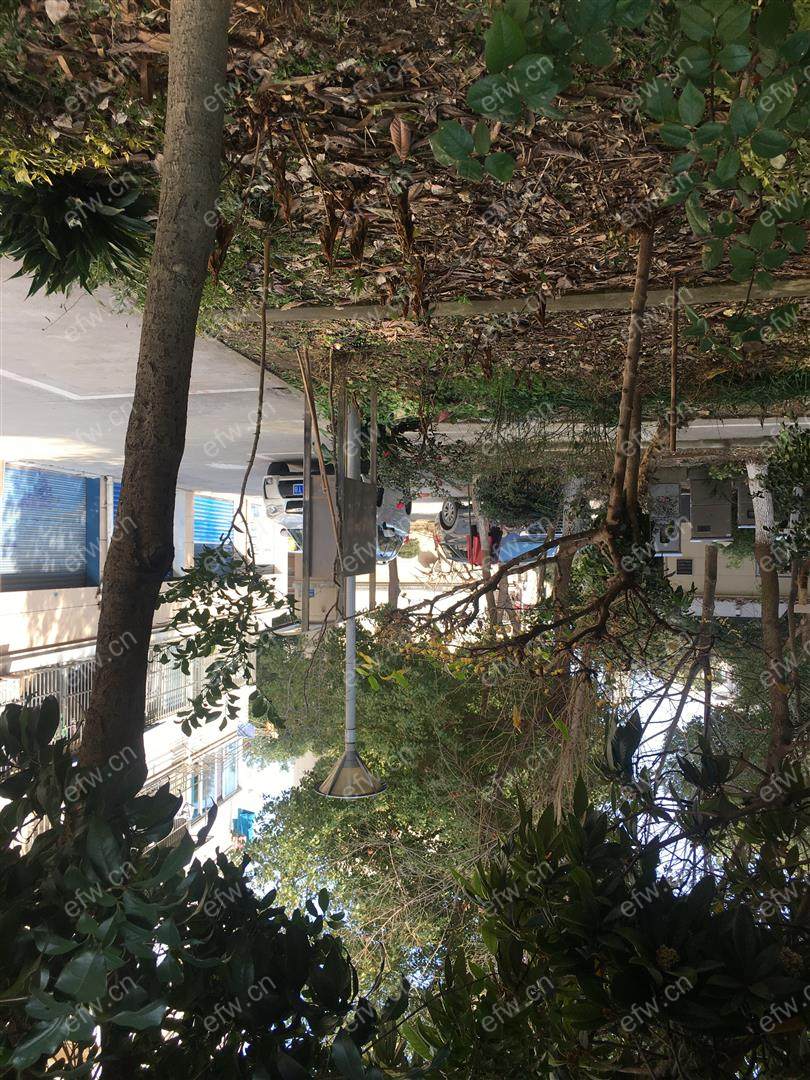 景丽西苑 2室1厅拎包入住