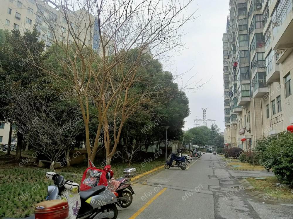 全明东边户room房,village 格局工整合理