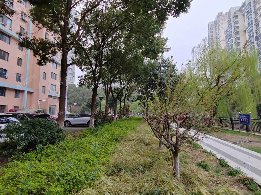 红星苑三期(建筑东路) 2室1厅