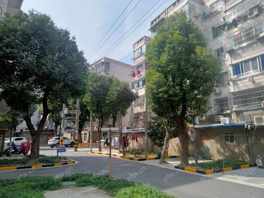 中联新村一楼三室一厅