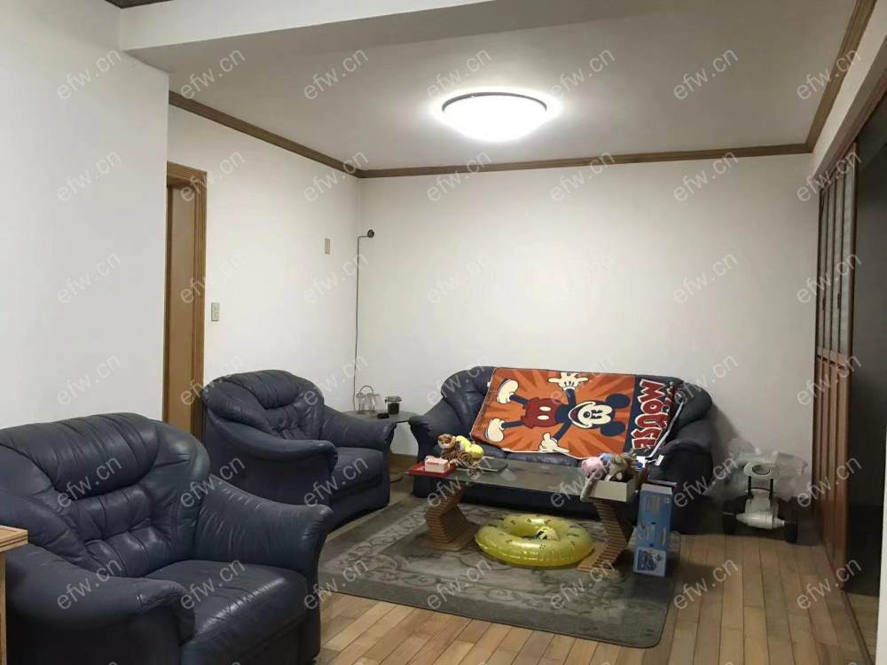 village  精装修 无遮挡采光好 电梯房 南北通透 随时看