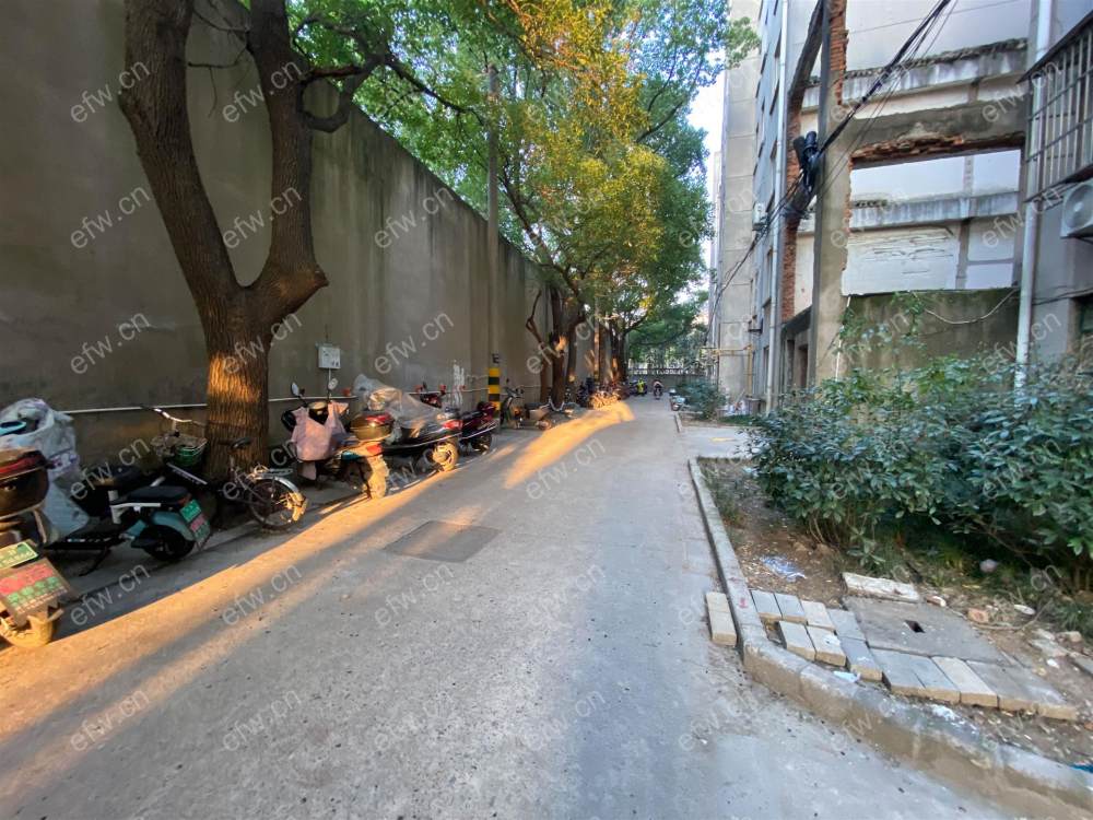 东横山 2室1厅精装修 诚心出售