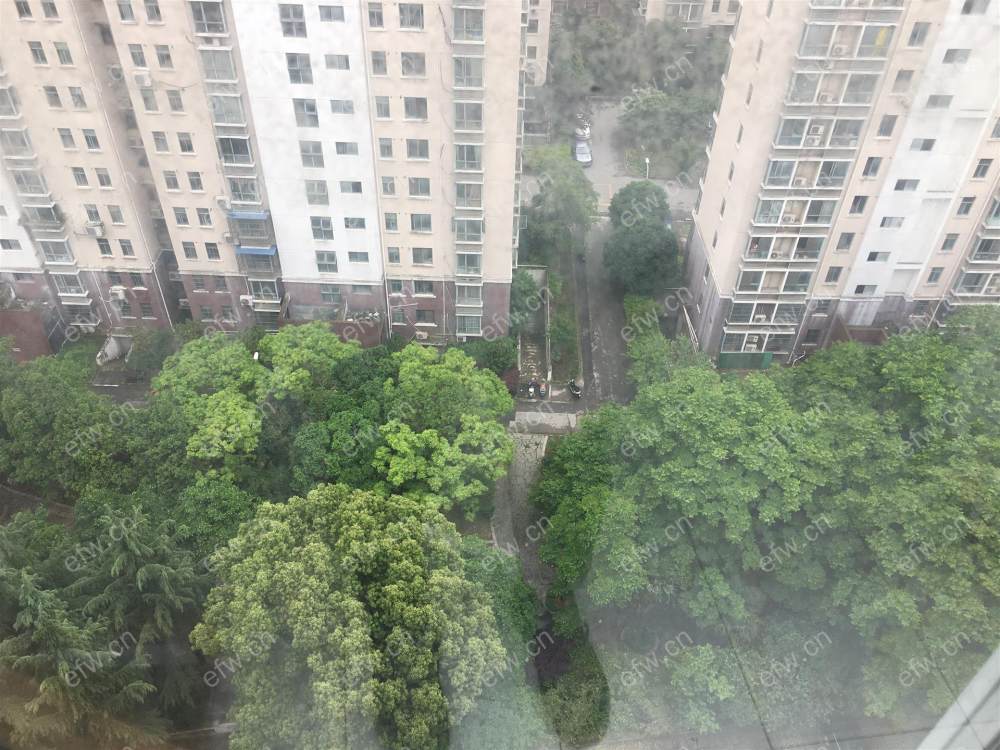 家电齐全 大丁佳苑 采光好 绿化好