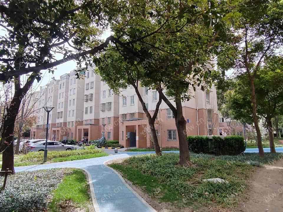 瑞星家园西区 精装2室 设施齐