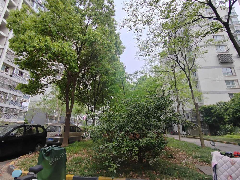 红星苑三期(建筑东路) 2室1厅
