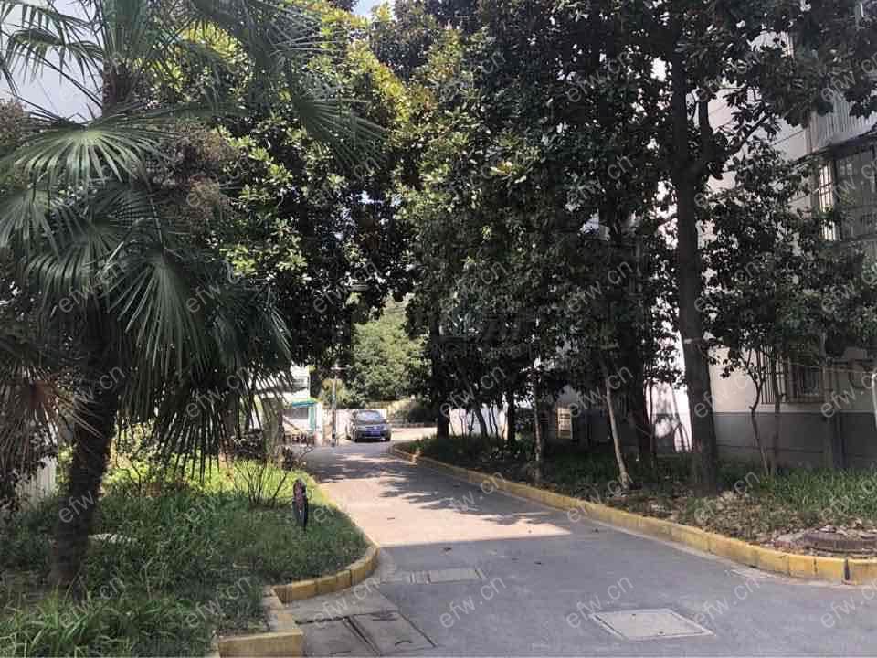 田基浜1室1厅 ，不靠马路